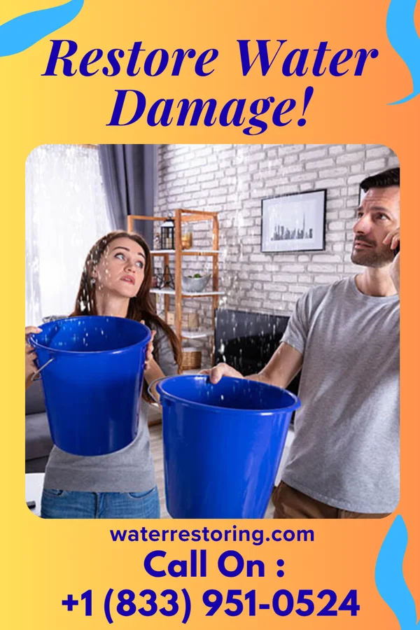 water restoration Elite Disaster Recovery East Douglas