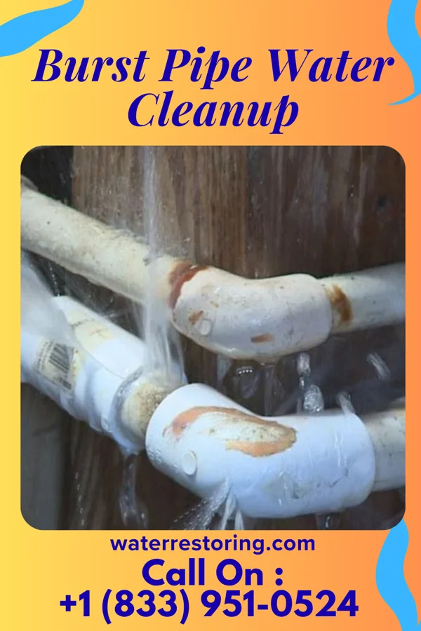 Burst Pipe Water Cleanup in East Douglas, MA