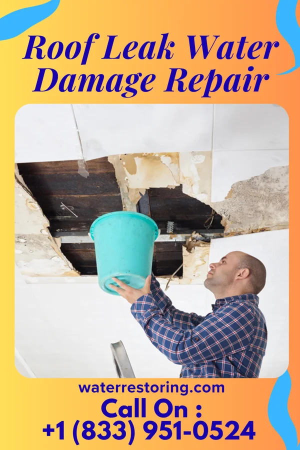 Roof Leak Water Damage Repair in East Douglas, MA