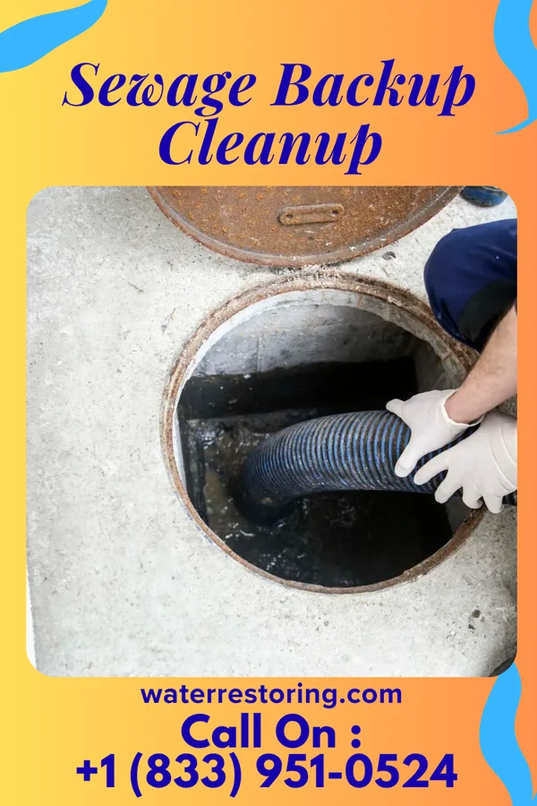 Sewage Backup Cleanup in East Douglas, MA